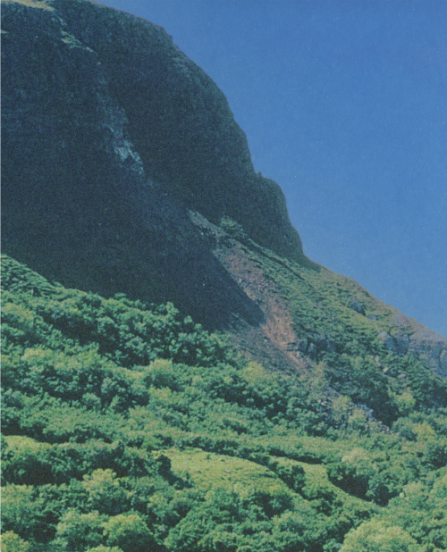 Lawnya Vawnya Festival