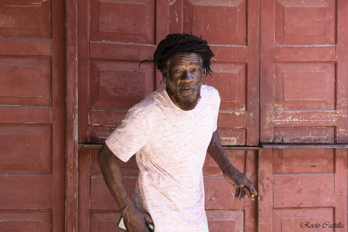 The Itals & The Roots Radics
