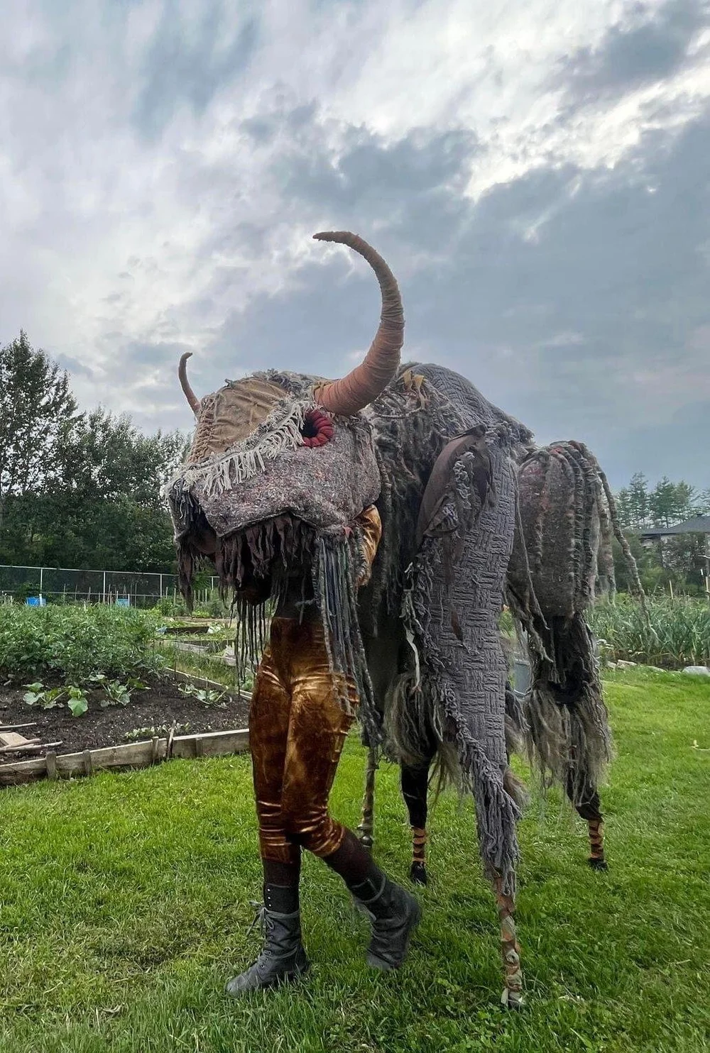 Bisonbi