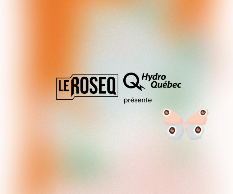 Réseau d'été ROSEQ 2026