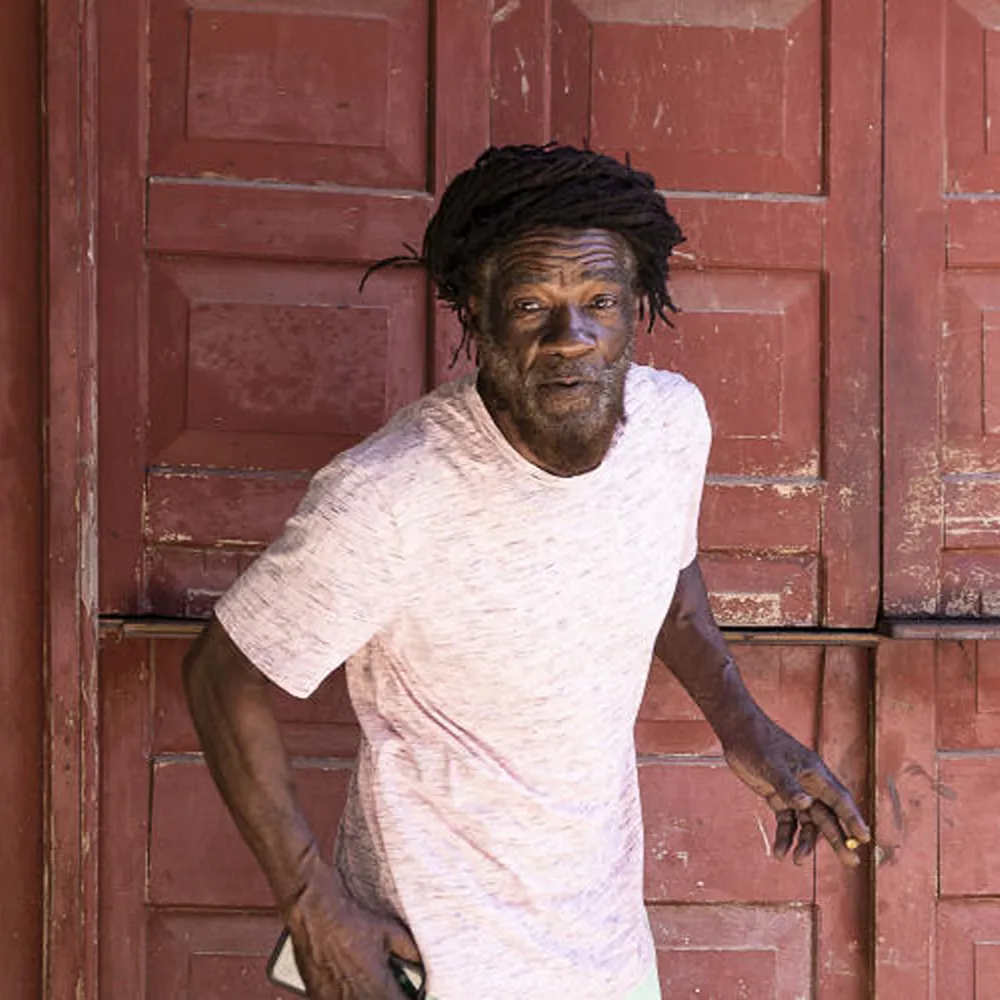 THE ITALS & The Roots Radics
