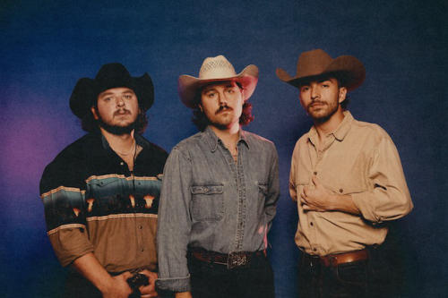 The Wild Palominos