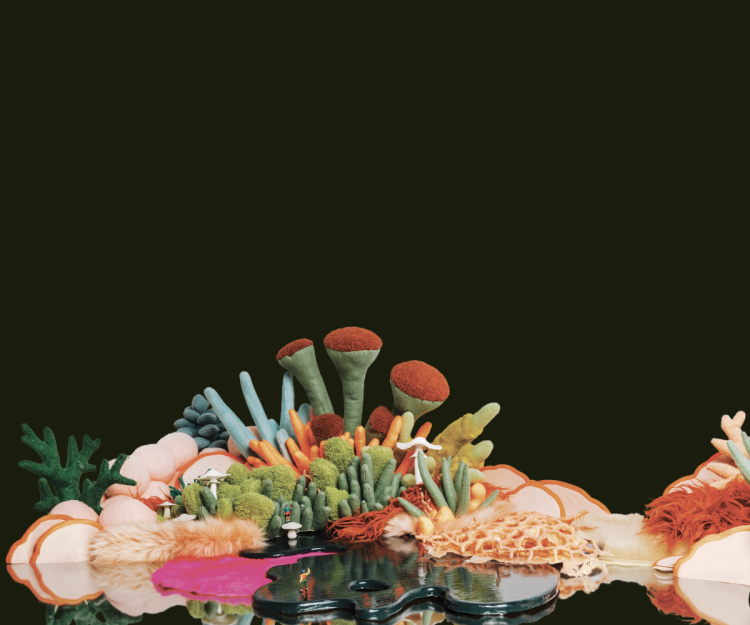 Festival REGARD 2026