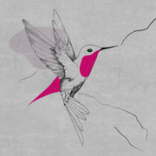 COMMUNICATION-DIFFUSION GINETTE FERLAND