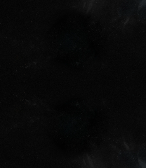 Contact Festival Munich