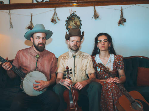 Hot Biscuit Stringband