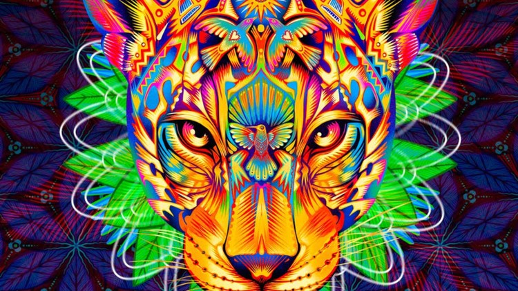 Eurockéennes de Belfort 2024