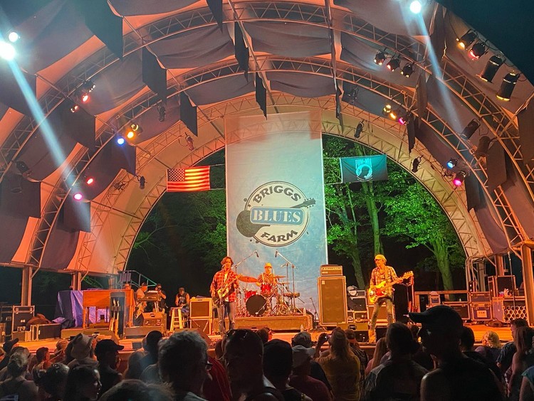 Briggs Farm Blues Festival 2025