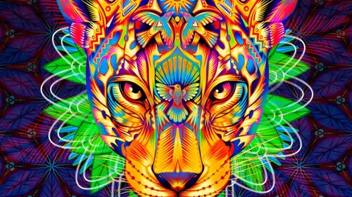 Eurockéennes de Belfort