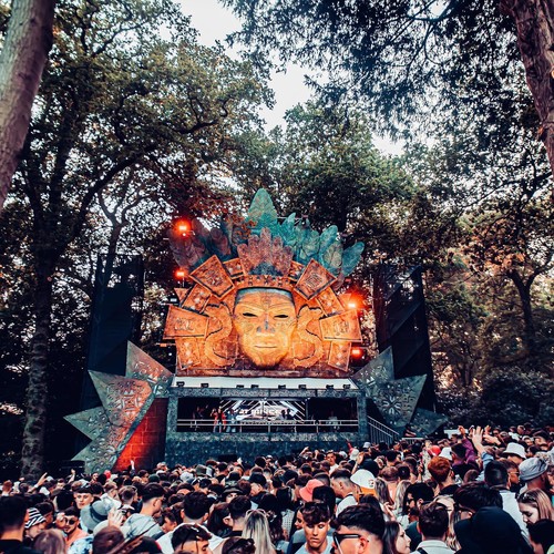 Forbidden Forest