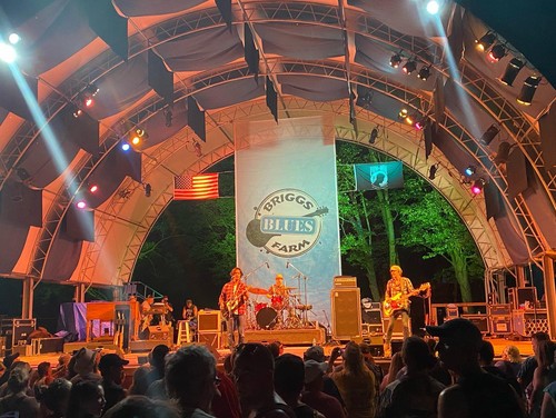 Briggs Farm Blues Festival