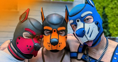 Weekend Pup Montréal Poutine Lunch | Weekend Pup Montréal