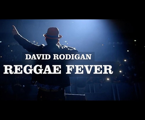 Film - REGGAE FEVER: David Rodigan by Yemi Bamiro