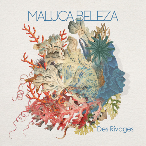 Maluca Beleza