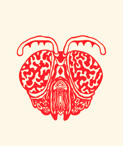 Gadfly