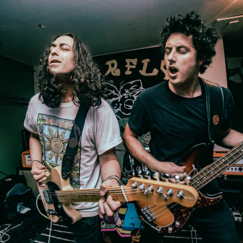 No Sunshine Collective
