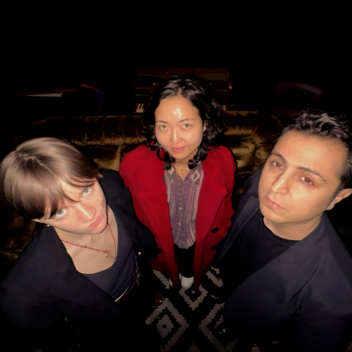 The Hausplants