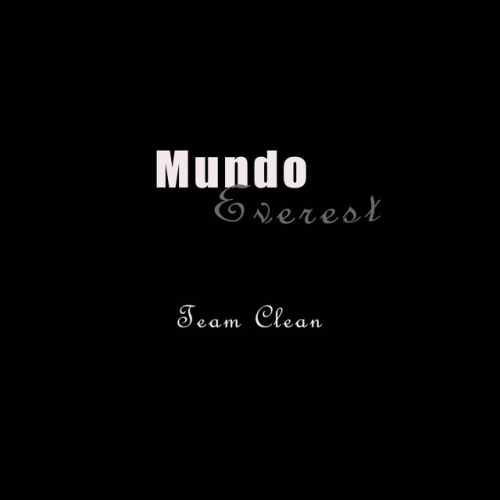 Team Clean