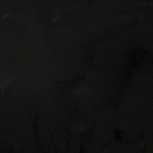 forlorn