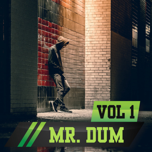 Mr Dum