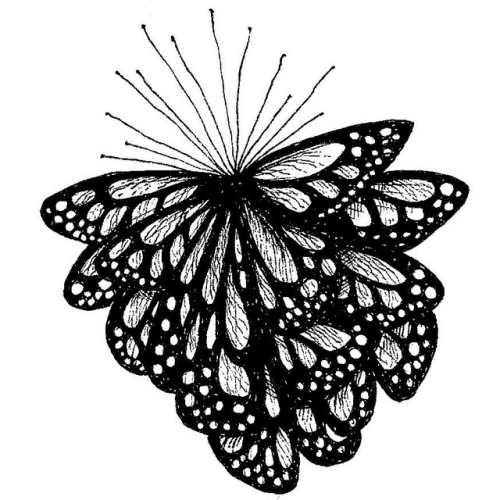 Papillon social club