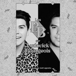 Les BB par Ludovick Bourgeois